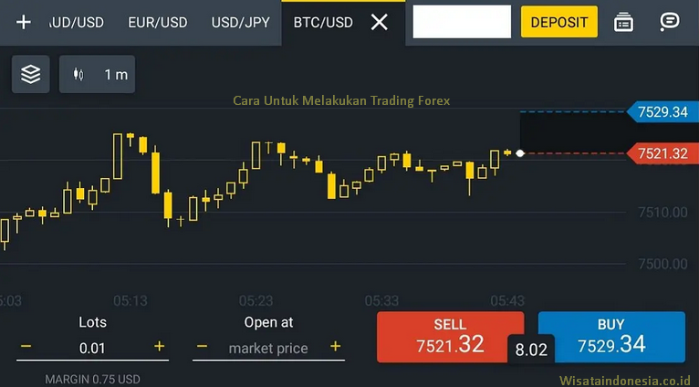 Cara Untuk Melakukan Trading Forex