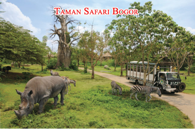 Tempat Wisata Bogor Jawa Barat Taman Safari Bogor